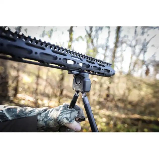 Stalker QD42 - image 2