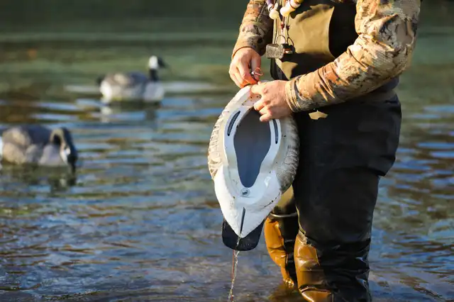 HydroFoam Canada Goose Floater 4 Pack | Guidefitter