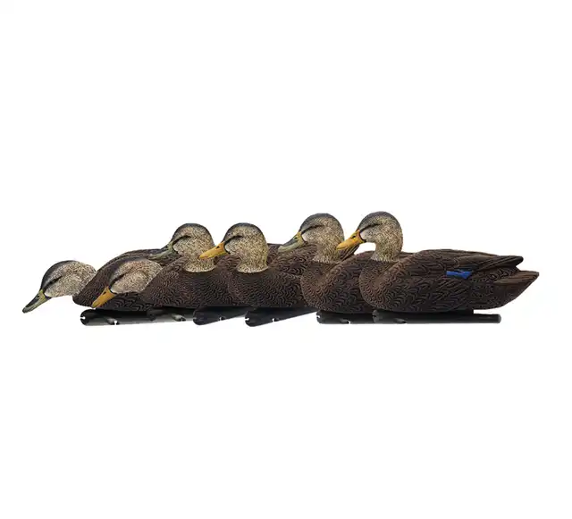 Topflight Black Ducks