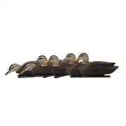 Thumbnail of Topflight Black Ducks, image 1