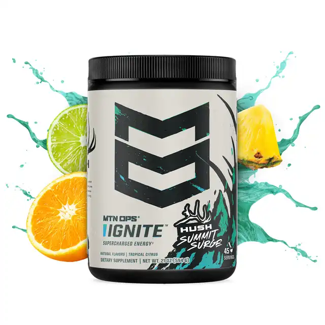 IGNITE - image 8