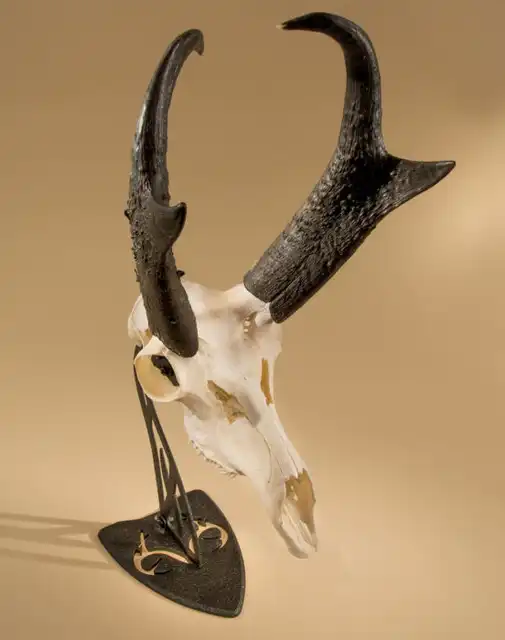 REALTREE® Edition Table Hooker - image 8