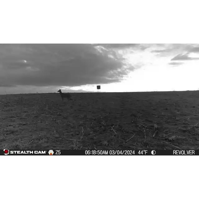 Revolver 360° Cellular Trail Camera - image 10