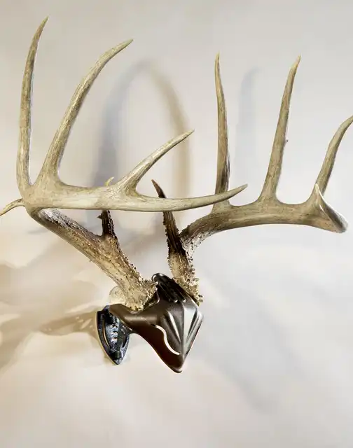 Bone Bracket® / Skull Cap Combo - image 3