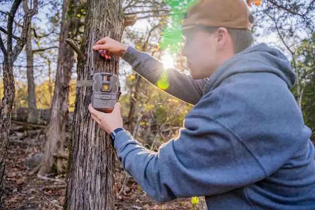 Reveal Pro 3.0 - image 12