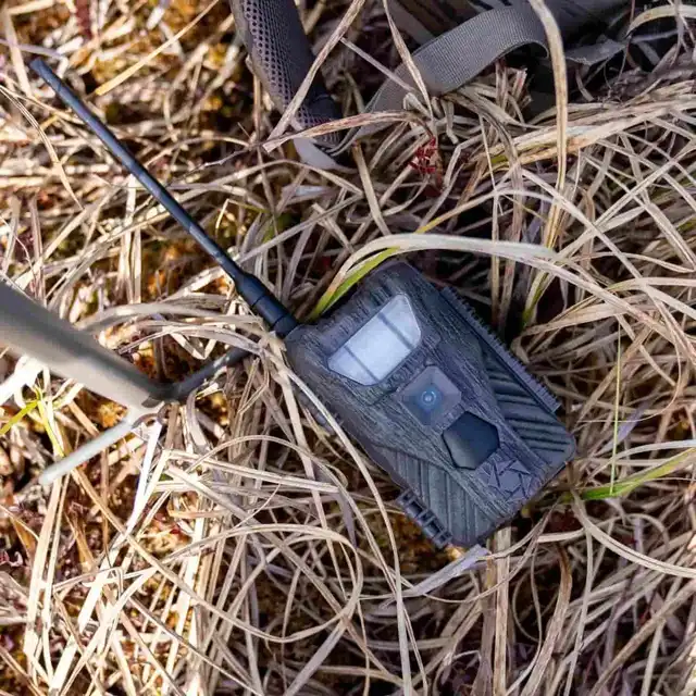 Flashback White Flash Cellular Trail Camera - image 9